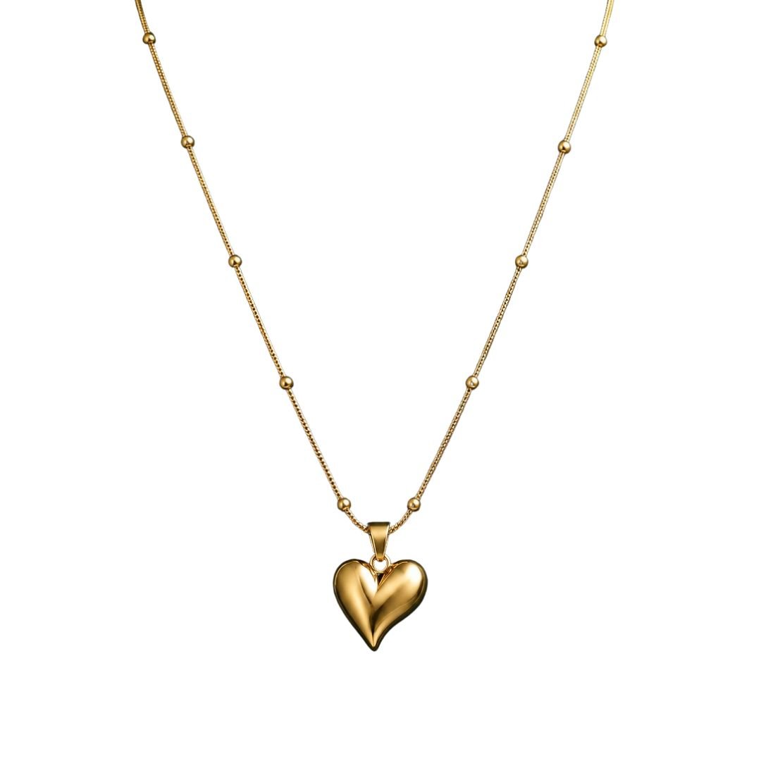 Dil Heart Charm Necklace
